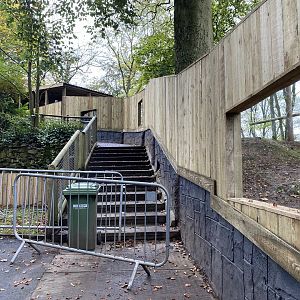 Dudley new bush dog enclosure, WIP, stairs
