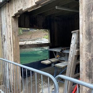 Dudley new bush dog enclosure, WIP, water viewing