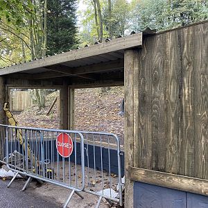 Dudley new bush dog enclosure, WIP, viewing windows
