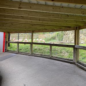 Dudley, updated flamingo viewing area