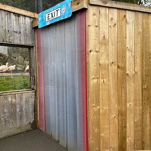 Dudley, updated flamingo viewing area