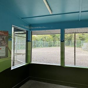 Dudley, new giraffe paddock viewing windows