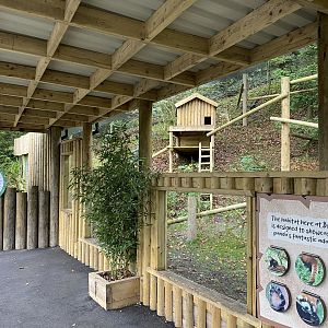 Dudley, Red panda enclosure, covered viewing