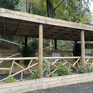 Dudley, Red panda enclosure viewing area