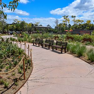 New Cheetah Grasslands - Main Pathway