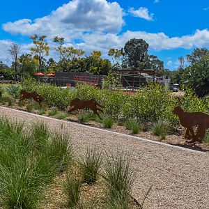 New Cheetah Grasslands - Metal Cheetahs
