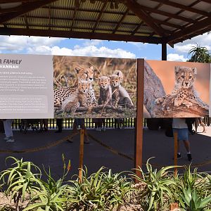 New Cheetah Grasslands - signage