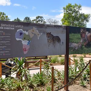 New Cheetah Grasslands - new signage