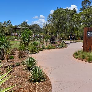 New Cheetah Grasslands - entrance