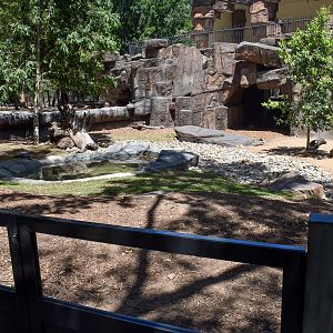 New Echidna/Quokka enclosure