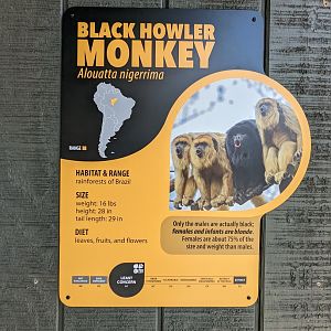 New Black Howler Monkey Signage