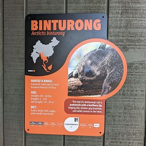 New Binturong signage
