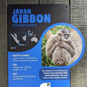 New Javan Gibbon Signage