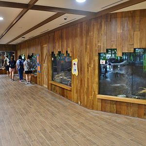 KidzWorld - Little Paws