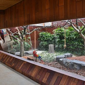 KidzWorld - Animals @ Play