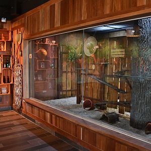 KidzWorld - Gambian Pouched Rat exhibit