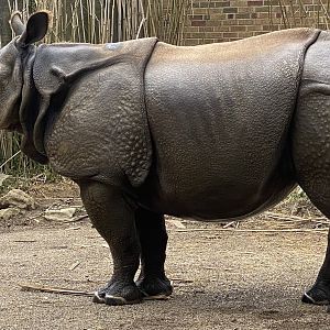 Mesker Park Zoo July 12, 2020