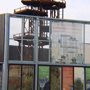 Chimp Exhibit Construction Update