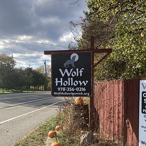 Wolf Hollow Entry Sign