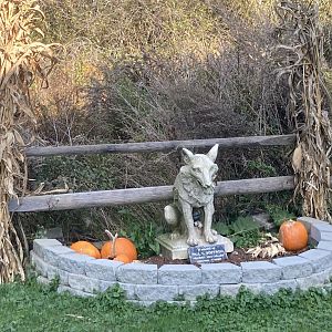 Wolf Statue Sculpture Art