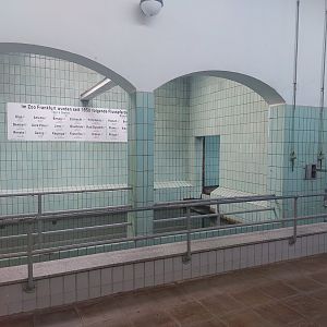 Common hippo indoor enclosure