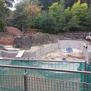 Penguin construction site