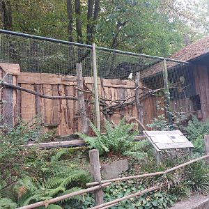 Red-vented cockatoo & Palawan porcupine enclosure