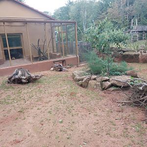First meerkat exhibit