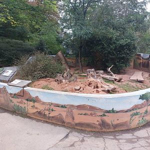 Second meerkat exhibit