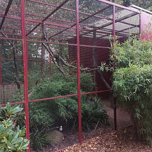 Asian bird aviary