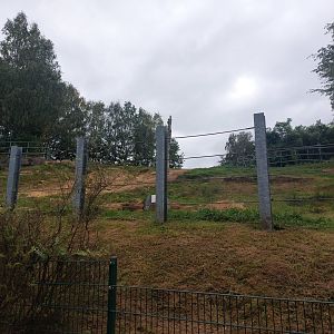 Asian elephant enclosure