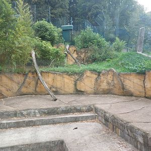 Former bear enclosure