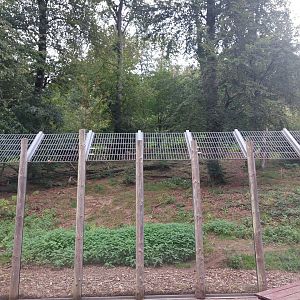 Dhole enclosure - lower view