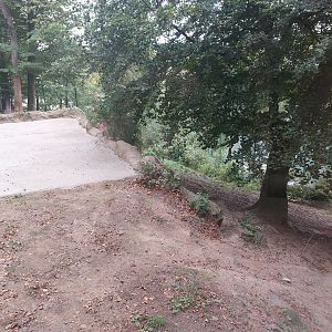 White lion enclosure