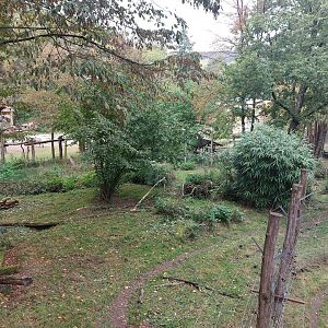 Striped hyena enclosure