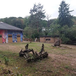 Grant's zebra enclosure