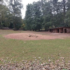 Vietnamese sika deer & blackbuck enclosure