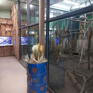Ring-tailed lemur & rock hyrax indoor enclosure