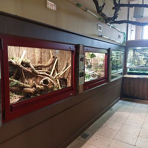 Terraria in orangutan house