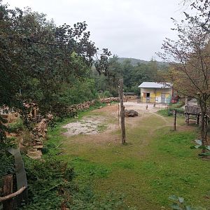 Reticulated giraffe enclosure