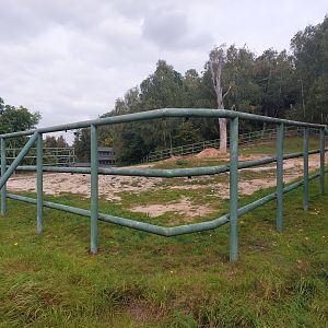 Asian elephant enclosure - upper view