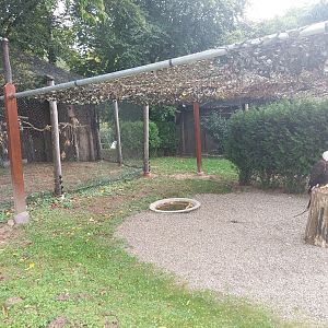 Falconry centre