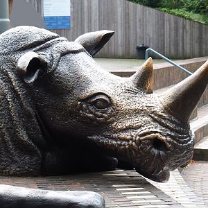Rhinoceros statue at the entrance, 2023-10-07