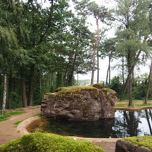 Asian elephant exhibit, 2023-10-07