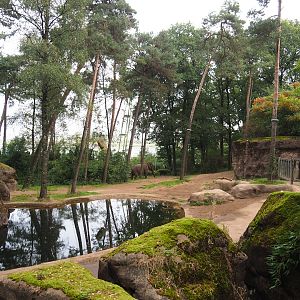 Asian elephant exhibit, 2023-10-07