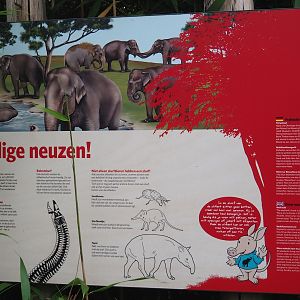 Elephant trunks and other animals with trunks signage, 2023-10-07