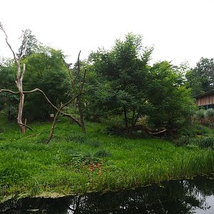 Ring-tailed lemur and Black lemur island, 2023-10-07