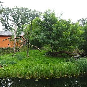 Ring-tailed lemur and Black lemur island, 2023-10-07