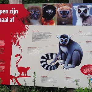 Prosimians signage, 2023-10-07