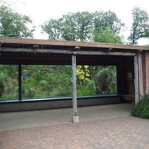 Ring-tailed lemur and Black lemur island viewing area, 2023-10-07